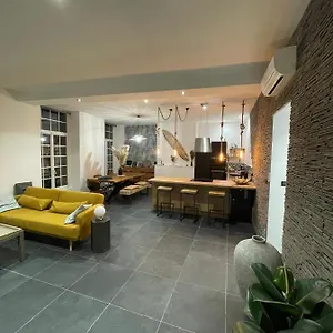 110m2 Terrasse Climatise Quartier Medieval Clermont-Ferrand